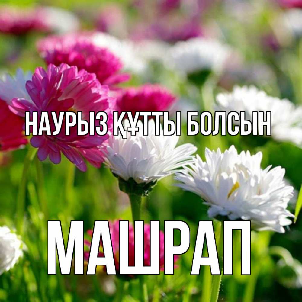 Күн сайын ашық хат с именем, МАШРАП Наурыз құтты болсын наурыз Онлайн тегін жүктеп алу тілектері бар керемет карта 