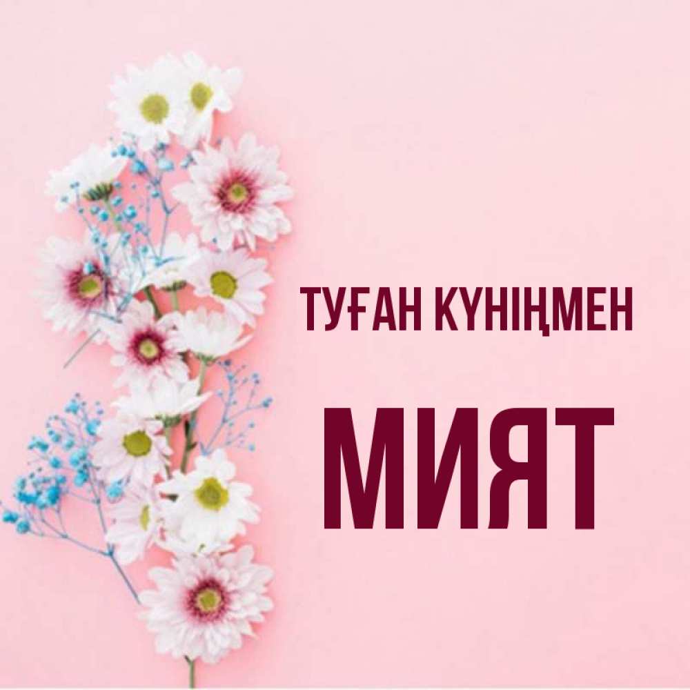 Күн сайын ашық хат с именем, МИЯТ Туған күніңмен Родная моя с днем рождения тебя картинка с цветами белыми и голубыми Онлайн тегін жүктеп алу тілектері бар керемет карта 