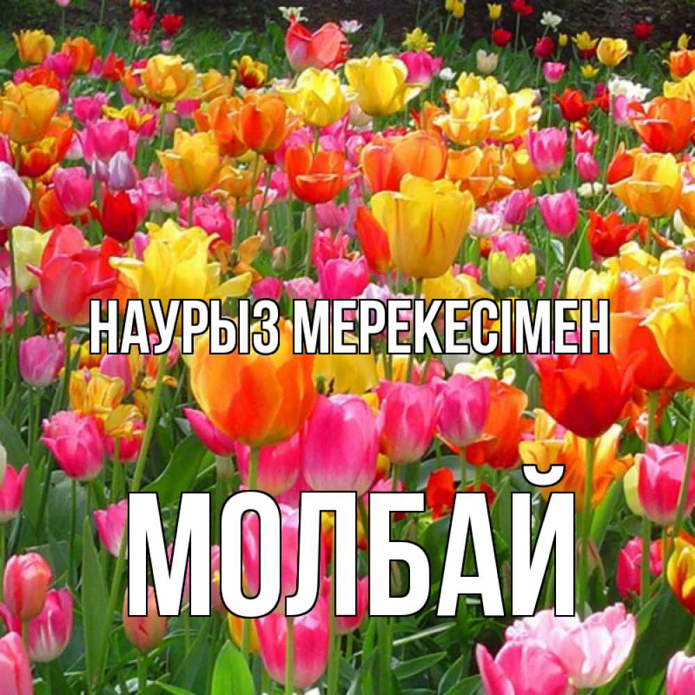 Күн сайын ашық хат с именем, МОЛБАЙ Наурыз мерекесімен праздник весны наурыз 4 Онлайн тегін жүктеп алу тілектері бар керемет карта 