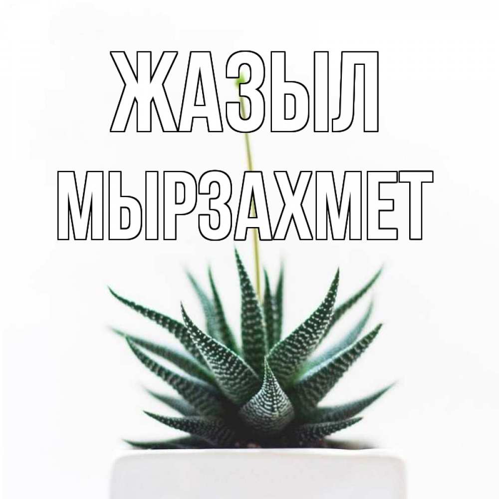 Күн сайын ашық хат с именем, МЫРЗАХМЕТ Жазыл короче это непонятная колючка Онлайн тегін жүктеп алу тілектері бар керемет карта 