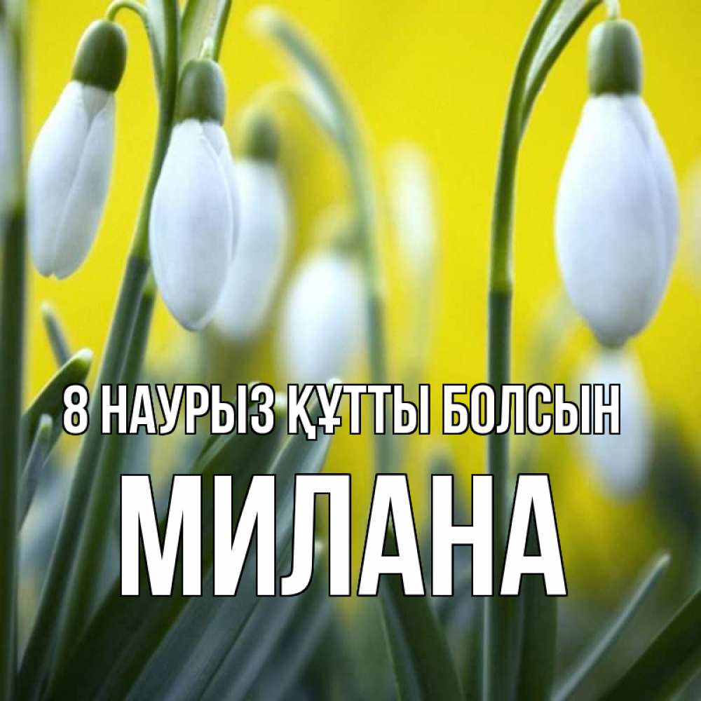 Күн сайын ашық хат с именем, Милана 8 наурыз құтты болсын весенние цветы Онлайн тегін жүктеп алу тілектері бар керемет карта 