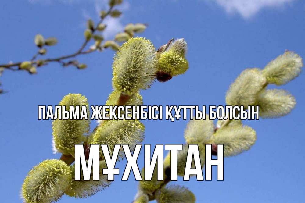 Күн сайын ашық хат с именем, МҰХИТАН Пальма жексенбісі құтты болсын верба Онлайн тегін жүктеп алу тілектері бар керемет карта 