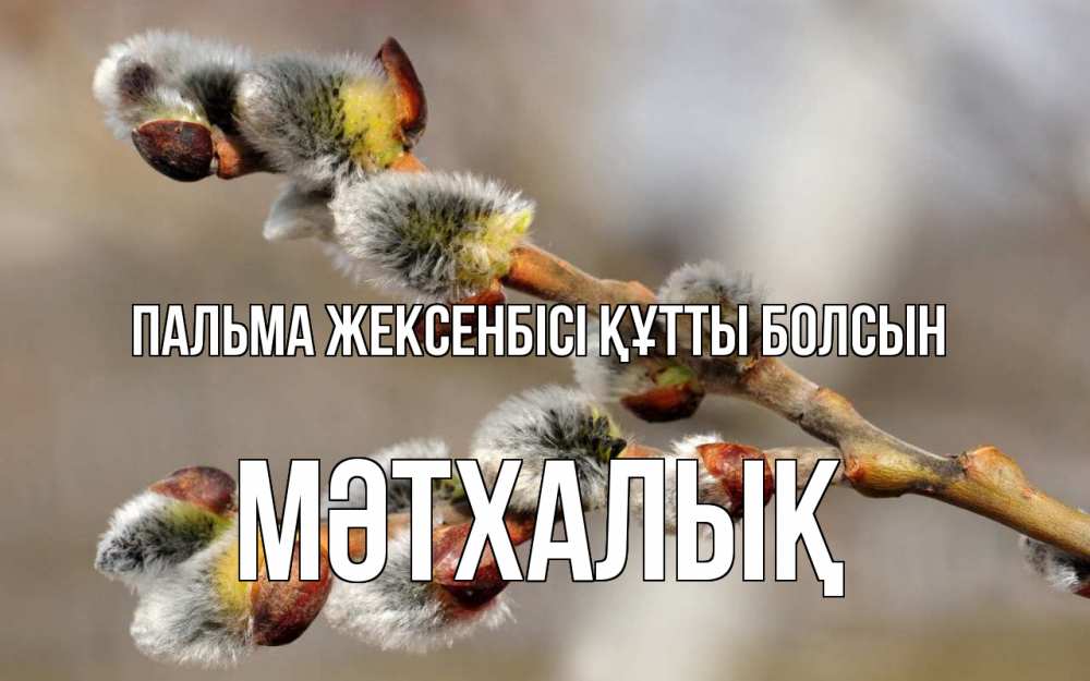 Күн сайын ашық хат с именем, МӘТХАЛЫҚ Пальма жексенбісі құтты болсын Верба Онлайн тегін жүктеп алу тілектері бар керемет карта 