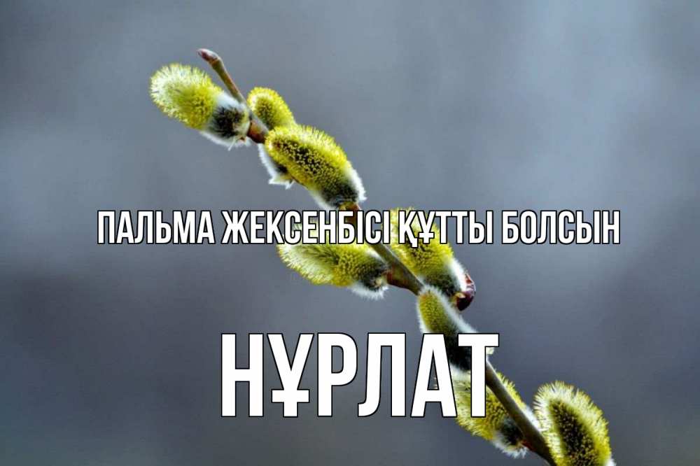 Күн сайын ашық хат с именем, НҰРЛАТ Пальма жексенбісі құтты болсын верба Онлайн тегін жүктеп алу тілектері бар керемет карта 