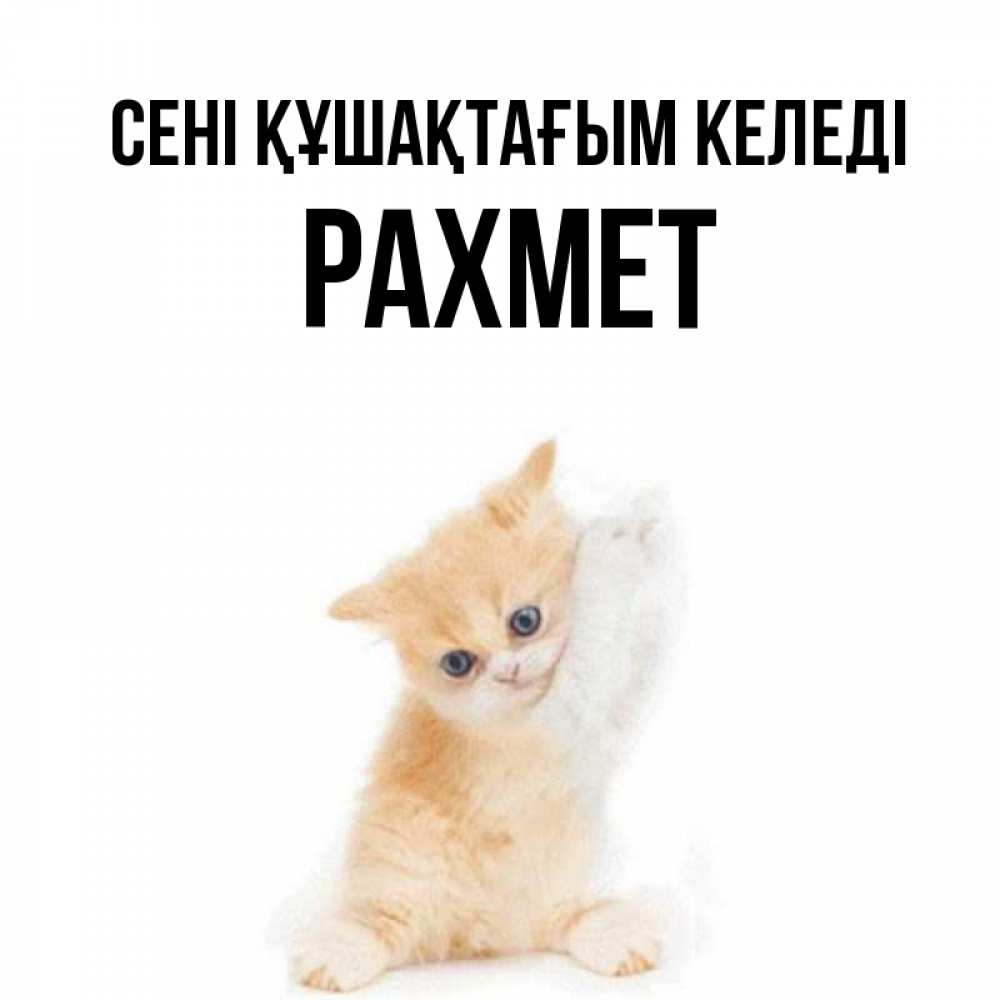 Күн сайын ашық хат с именем, РАХМЕТ сені құшақтағым келеді я хочу очень скорее обнимаешек Онлайн тегін жүктеп алу тілектері бар керемет карта 