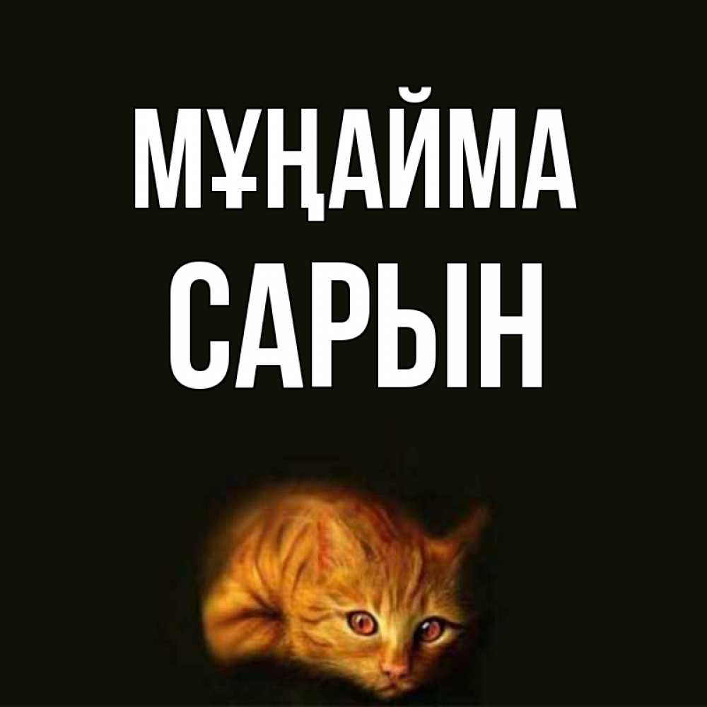 Күн сайын ашық хат с именем, САРЫН Мұңайма лежащий кот в темноте Онлайн тегін жүктеп алу тілектері бар керемет карта 