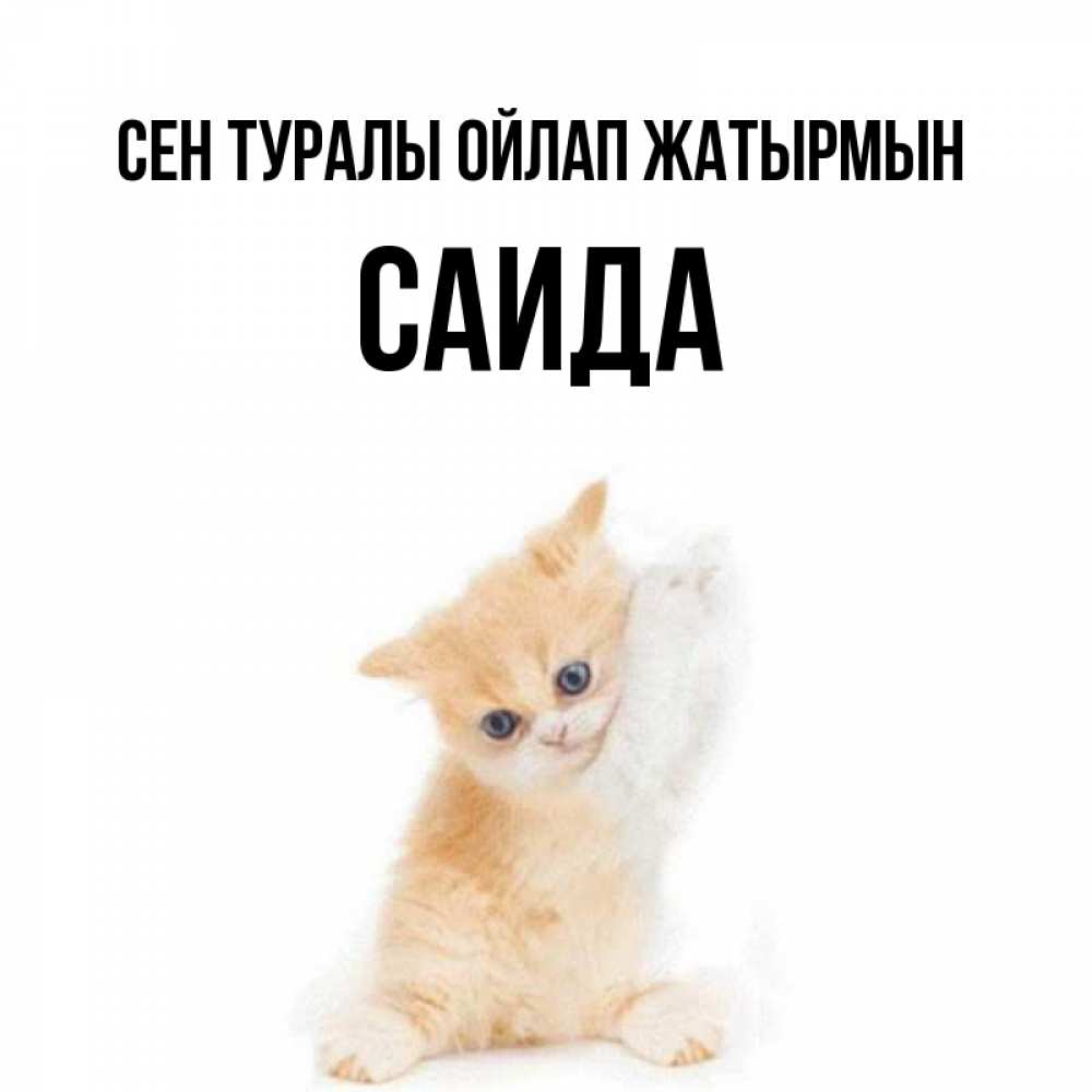 Күн сайын ашық хат с именем, Саида Сен туралы ойлап жатырмын зверушки и милота Онлайн тегін жүктеп алу тілектері бар керемет карта 