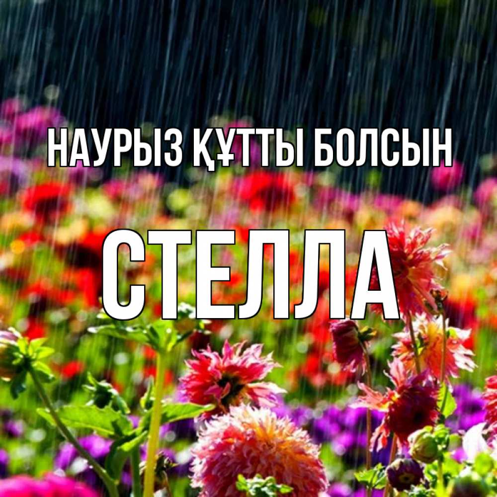 Күн сайын ашық хат с именем, Стелла Наурыз құтты болсын цветы под дождиком к наурызу Онлайн тегін жүктеп алу тілектері бар керемет карта 