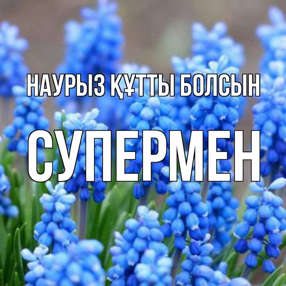 Күн сайын ашық хат с именем, Супермен Наурыз құтты болсын Поздравительная открытка для женщин с цветами на праздничную дату Онлайн тегін жүктеп алу тілектері бар керемет карта 