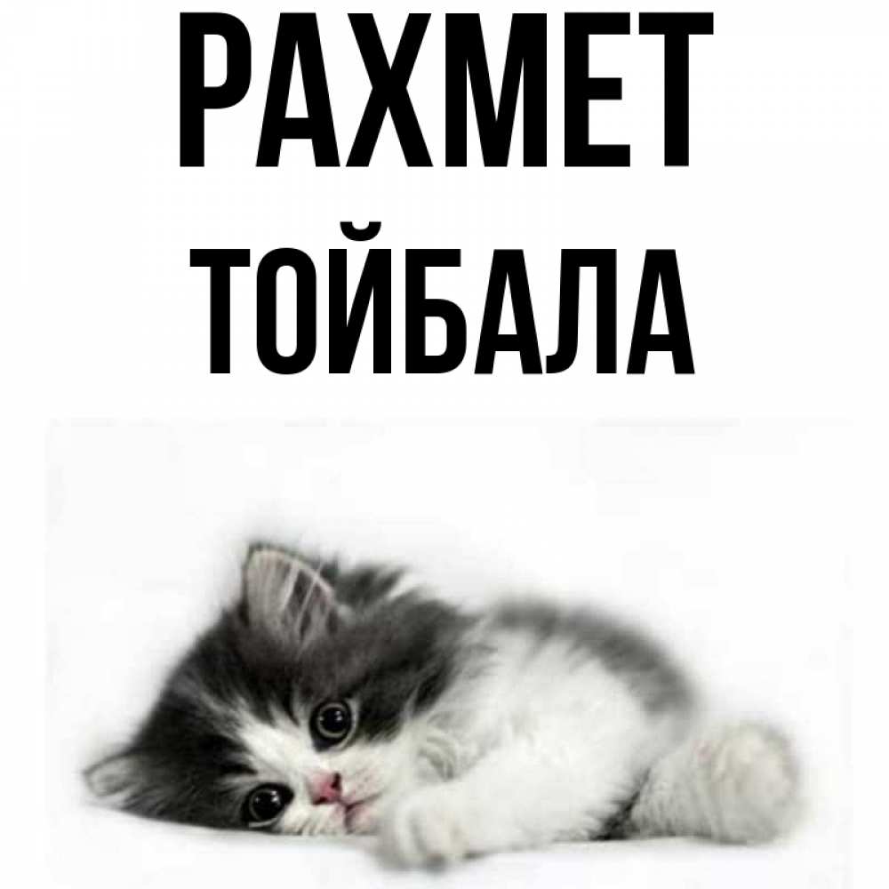 Күн сайын ашық хат с именем, ТОЙБАЛА рахмет черный и белый кот Онлайн тегін жүктеп алу тілектері бар керемет карта 