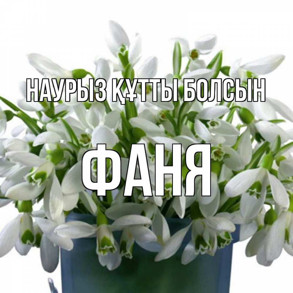 Күн сайын ашық хат с именем, Фаня Наурыз құтты болсын цветы к наурызу Онлайн тегін жүктеп алу тілектері бар керемет карта 
