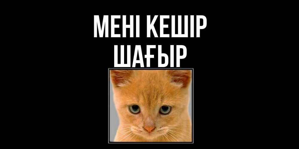 Күн сайын ашық хат с именем, ШАҒЫР Мені кешір рыжий грустный кот просит прощения Онлайн тегін жүктеп алу тілектері бар керемет карта 