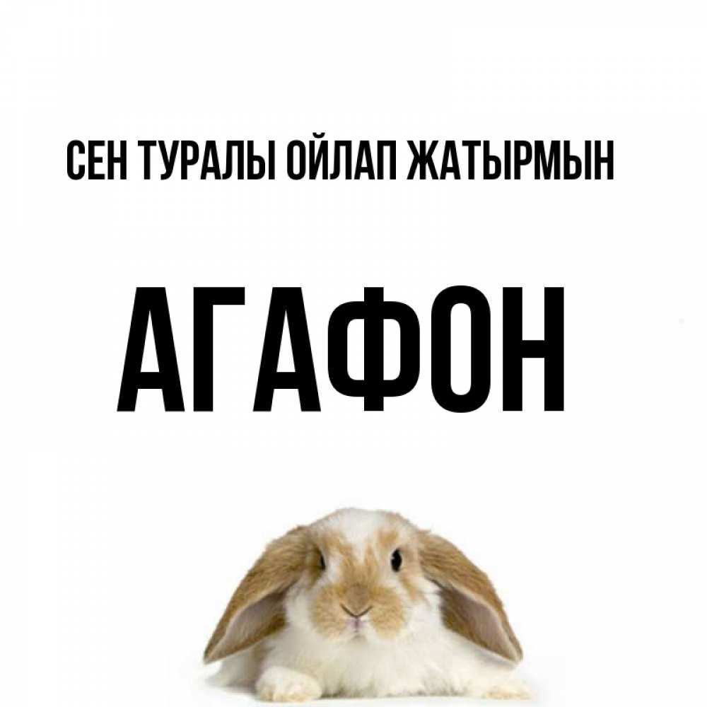 Күн сайын ашық хат с именем, Агафон Сен туралы ойлап жатырмын подписать своими руками онлайн Онлайн тегін жүктеп алу тілектері бар керемет карта 