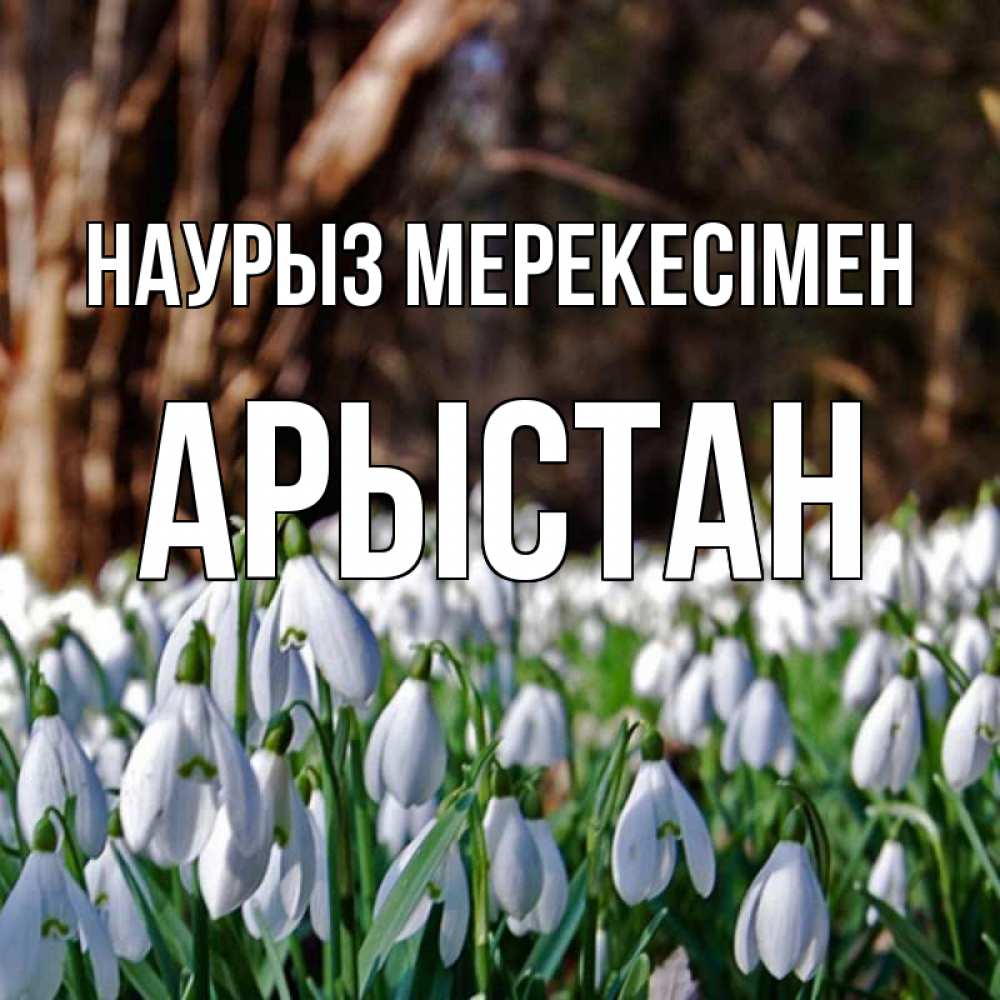 Күн сайын ашық хат с именем, Арыстан Наурыз мерекесімен с подснежниками 1 Онлайн тегін жүктеп алу тілектері бар керемет карта 