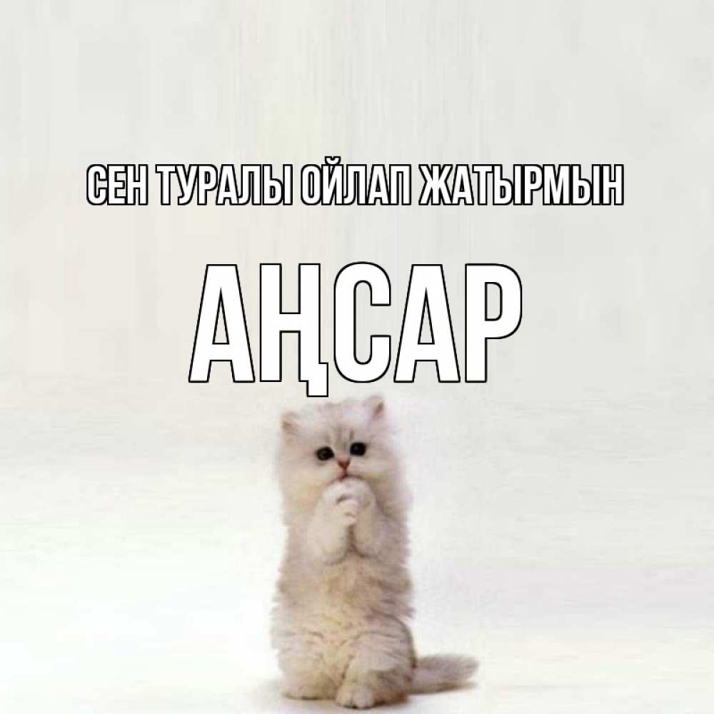 Күн сайын ашық хат с именем, Аңсар Сен туралы ойлап жатырмын кот стоит на задних лапах Онлайн тегін жүктеп алу тілектері бар керемет карта 