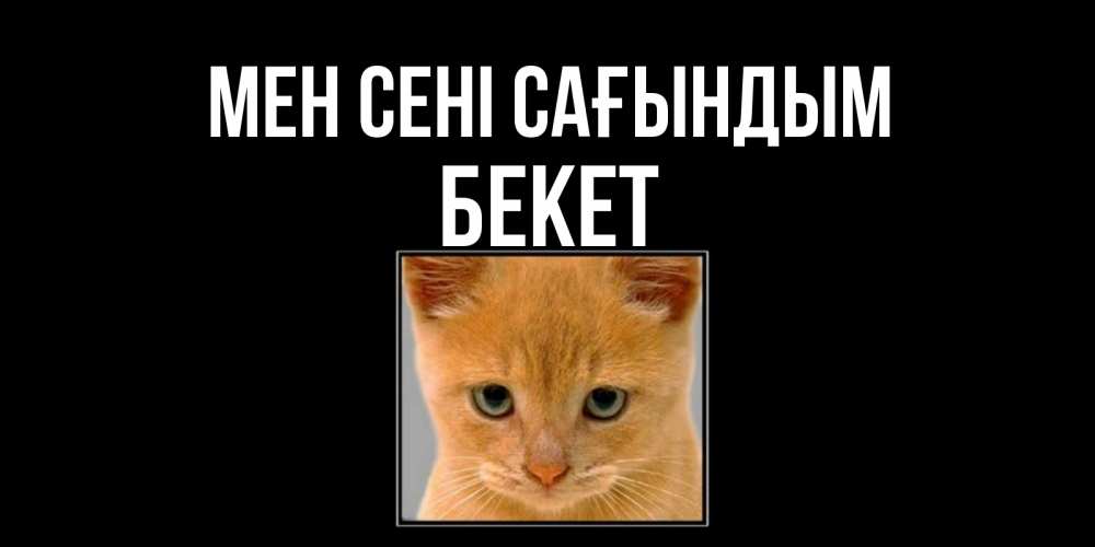Күн сайын ашық хат с именем, Бекет Мен сені сағындым открытки рыжий котенок скучает по тебе Онлайн тегін жүктеп алу тілектері бар керемет карта 