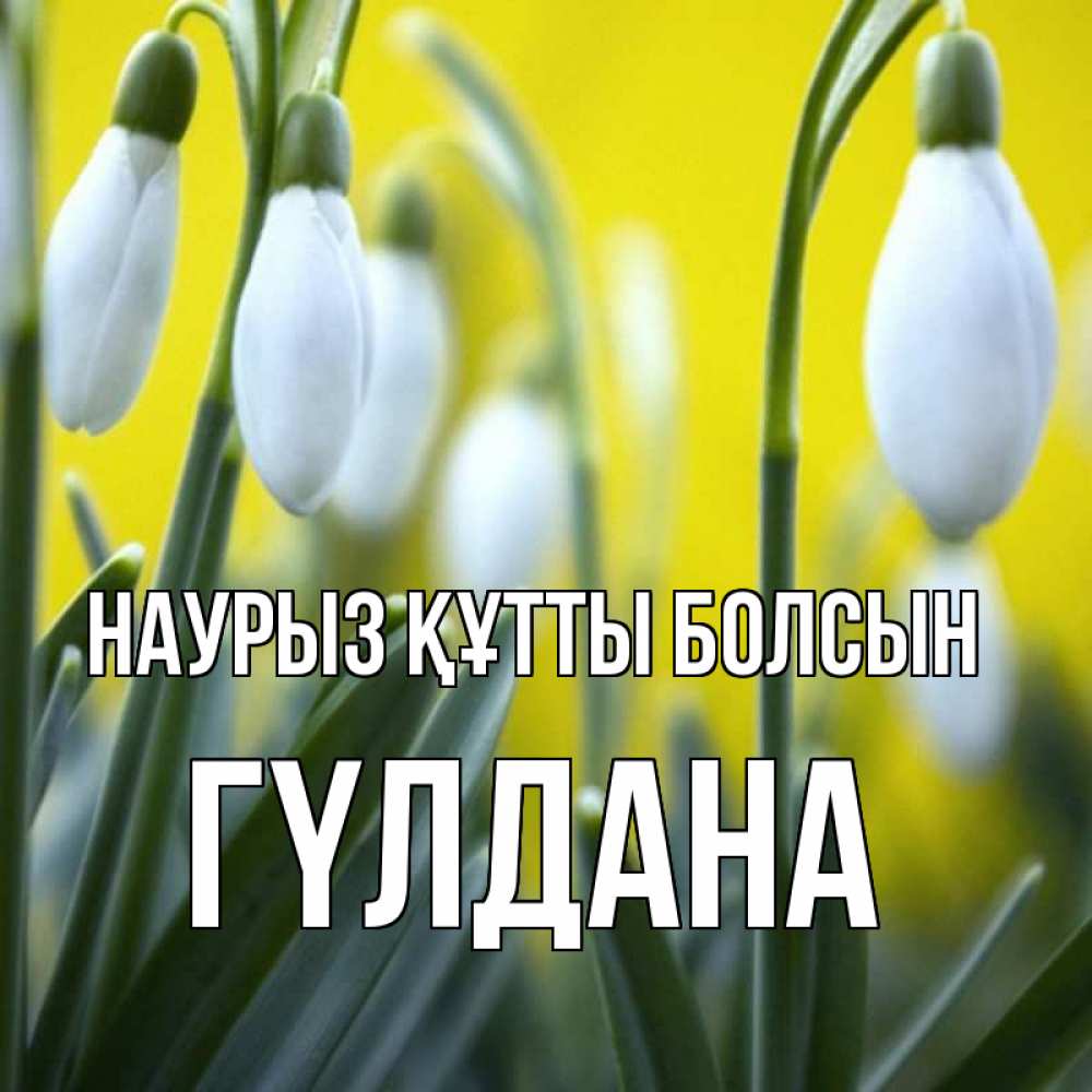 Күн сайын ашық хат с именем, ГҮЛДАНА Наурыз құтты болсын весенние цветы Онлайн тегін жүктеп алу тілектері бар керемет карта 