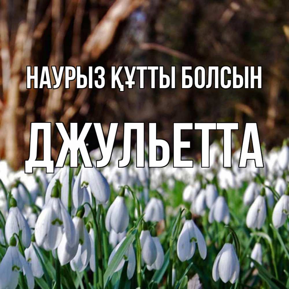 Күн сайын ашық хат с именем, Джульетта Наурыз құтты болсын с подснежниками 1 Онлайн тегін жүктеп алу тілектері бар керемет карта 