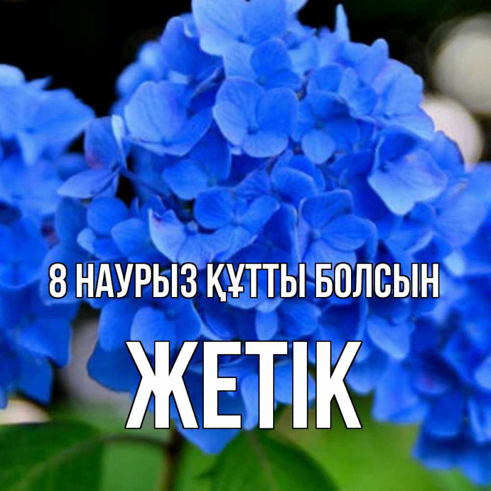 Күн сайын ашық хат с именем, Жетік 8 наурыз құтты болсын синие цветы Онлайн тегін жүктеп алу тілектері бар керемет карта 