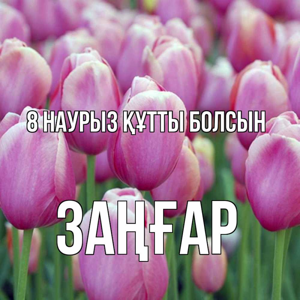 Күн сайын ашық хат с именем, Заңғар 8 наурыз құтты болсын на международный женский день 3 Онлайн тегін жүктеп алу тілектері бар керемет карта 
