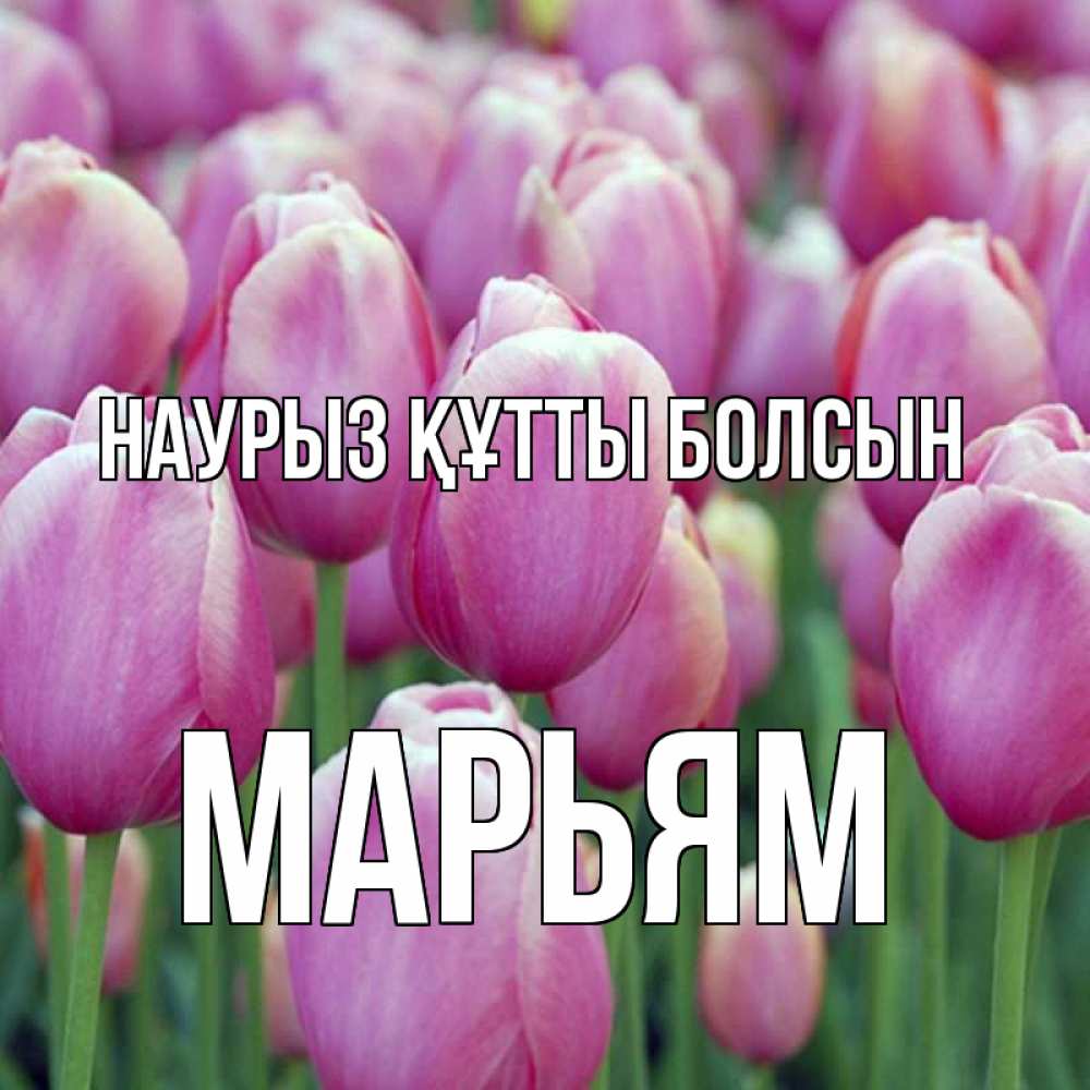 Күн сайын ашық хат с именем, Марьям Наурыз құтты болсын на наурыз  день 3 Онлайн тегін жүктеп алу тілектері бар керемет карта 