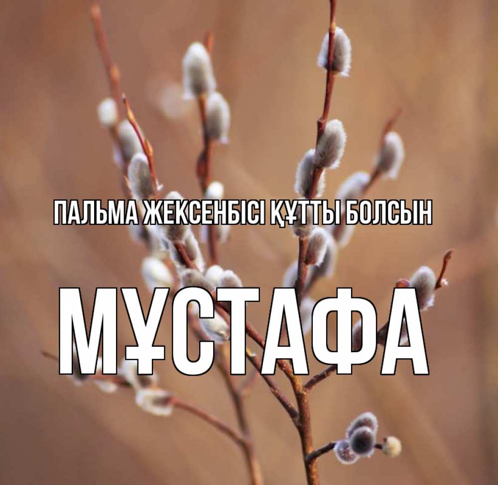 Күн сайын ашық хат с именем, МҰСТАФА Пальма жексенбісі құтты болсын верба Онлайн тегін жүктеп алу тілектері бар керемет карта 
