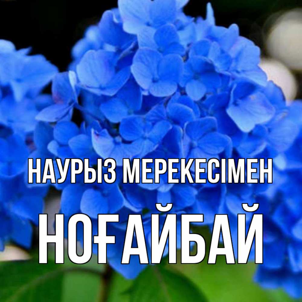 Күн сайын ашық хат с именем, НОҒАЙБАЙ Наурыз мерекесімен синие цветы Онлайн тегін жүктеп алу тілектері бар керемет карта 