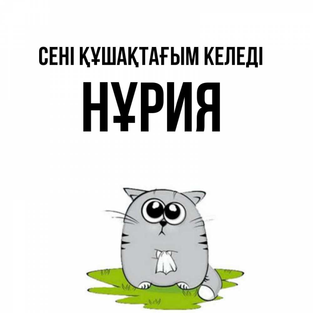 Күн сайын ашық хат с именем, НҰРИЯ сені құшақтағым келеді котик теребит платочек сидя на травке Онлайн тегін жүктеп алу тілектері бар керемет карта 