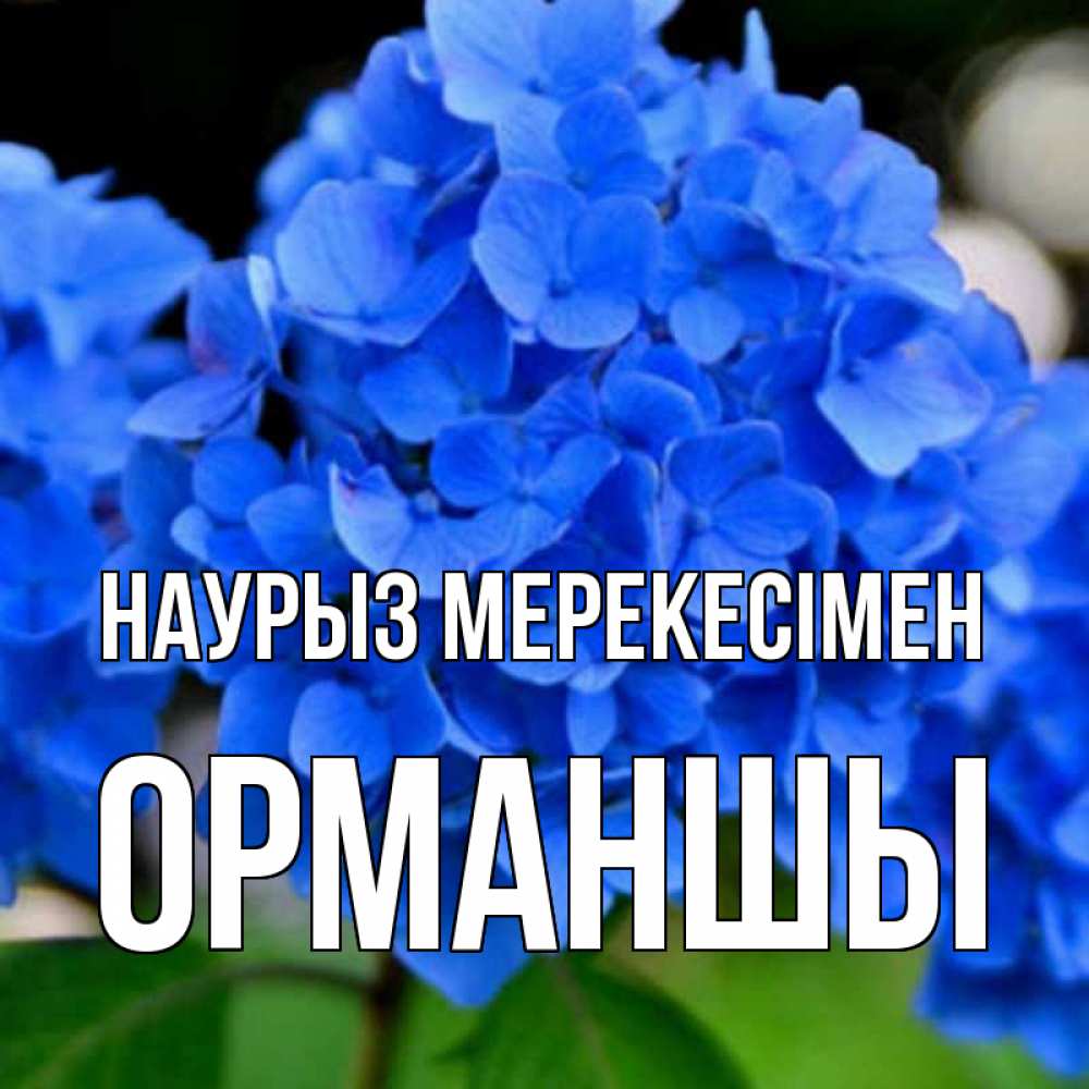 Күн сайын ашық хат с именем, ОРМАНШЫ Наурыз мерекесімен синие цветы Онлайн тегін жүктеп алу тілектері бар керемет карта 