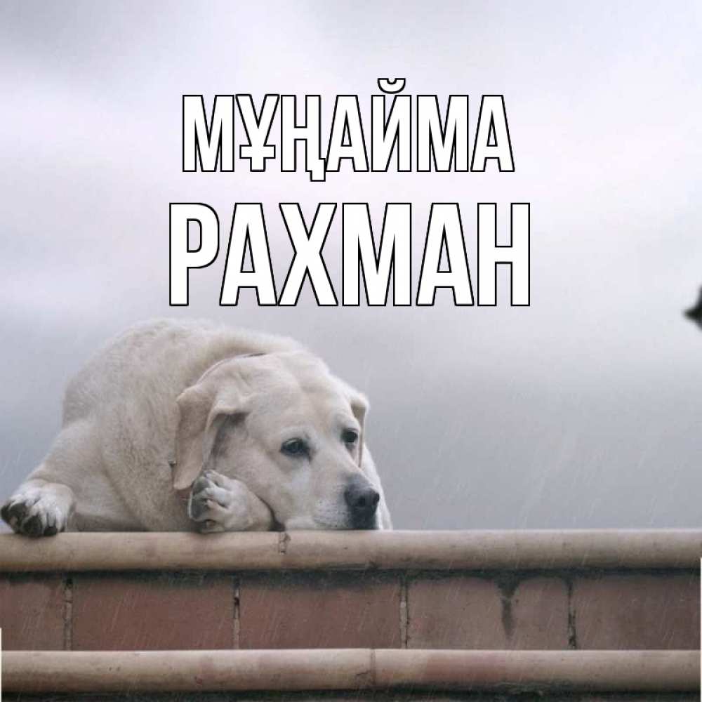 Күн сайын ашық хат с именем, РАХМАН Мұңайма белый пес 1 Онлайн тегін жүктеп алу тілектері бар керемет карта 