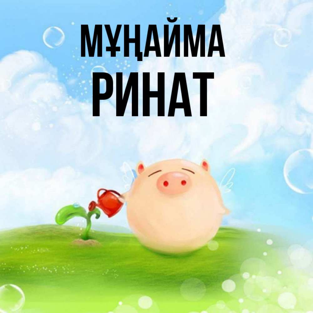 Күн сайын ашық хат с именем, Ринат Мұңайма поливает цветок порося Онлайн тегін жүктеп алу тілектері бар керемет карта 