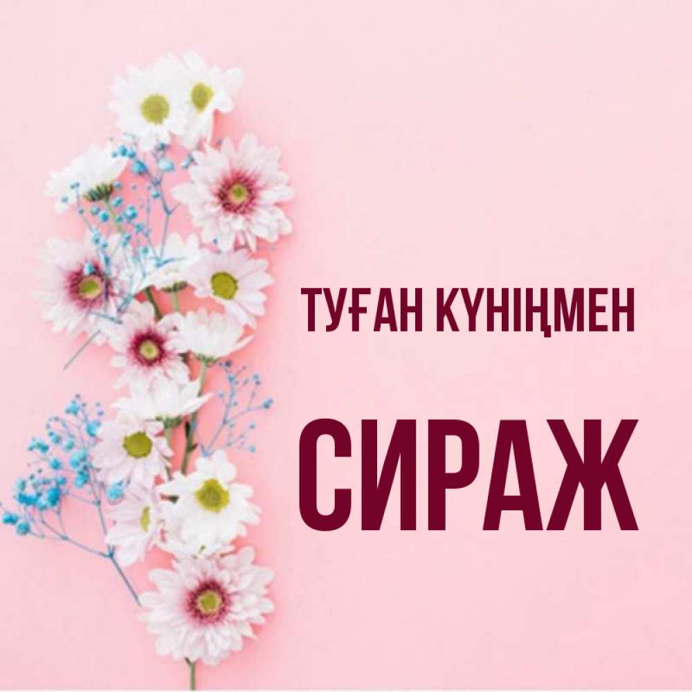 Күн сайын ашық хат с именем, СИРАЖ Туған күніңмен Родная моя с днем рождения тебя картинка с цветами белыми и голубыми Онлайн тегін жүктеп алу тілектері бар керемет карта 