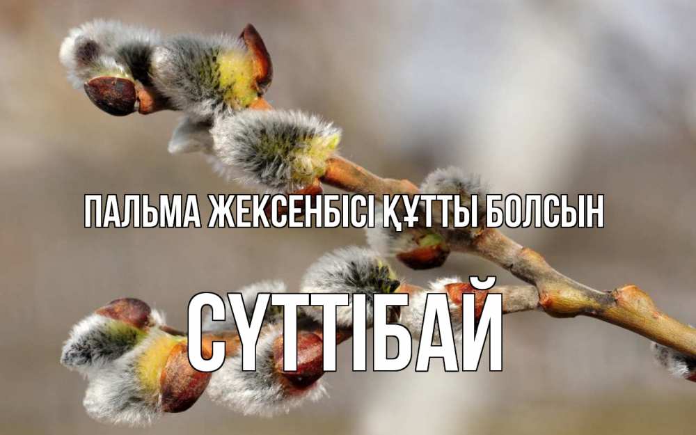 Күн сайын ашық хат с именем, СҮТТІБАЙ Пальма жексенбісі құтты болсын Верба Онлайн тегін жүктеп алу тілектері бар керемет карта 