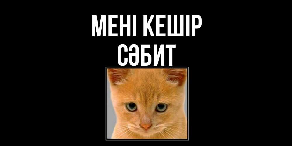 Күн сайын ашық хат с именем, СӘБИТ Мені кешір рыжий грустный кот просит прощения Онлайн тегін жүктеп алу тілектері бар керемет карта 