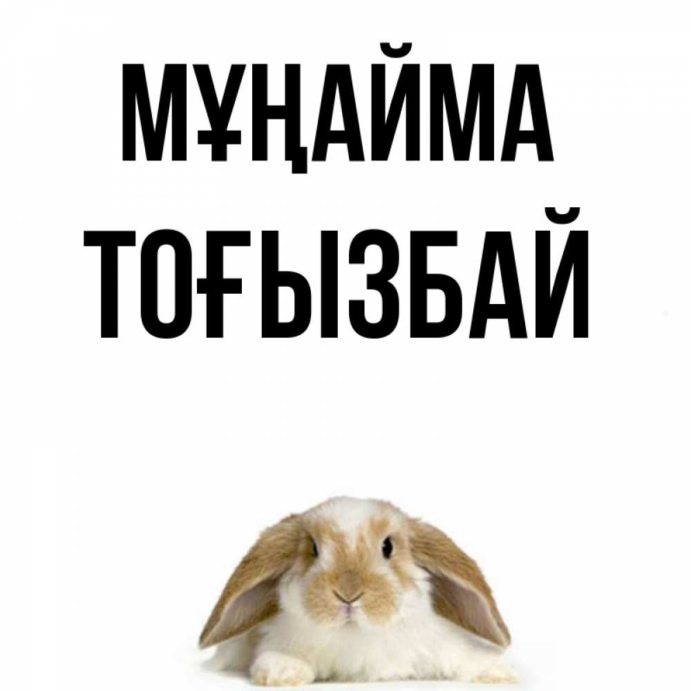 Күн сайын ашық хат с именем, ТОҒЫЗБАЙ Мұңайма коричнево белый заяц с большими ушками Онлайн тегін жүктеп алу тілектері бар керемет карта 