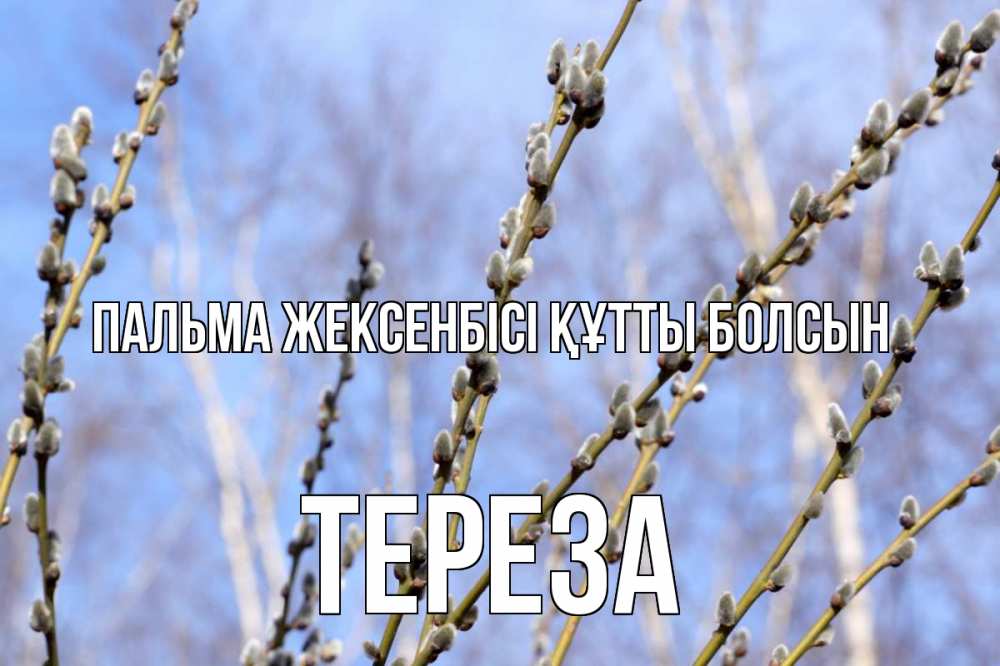 Күн сайын ашық хат с именем, Тереза Пальма жексенбісі құтты болсын верба Онлайн тегін жүктеп алу тілектері бар керемет карта 