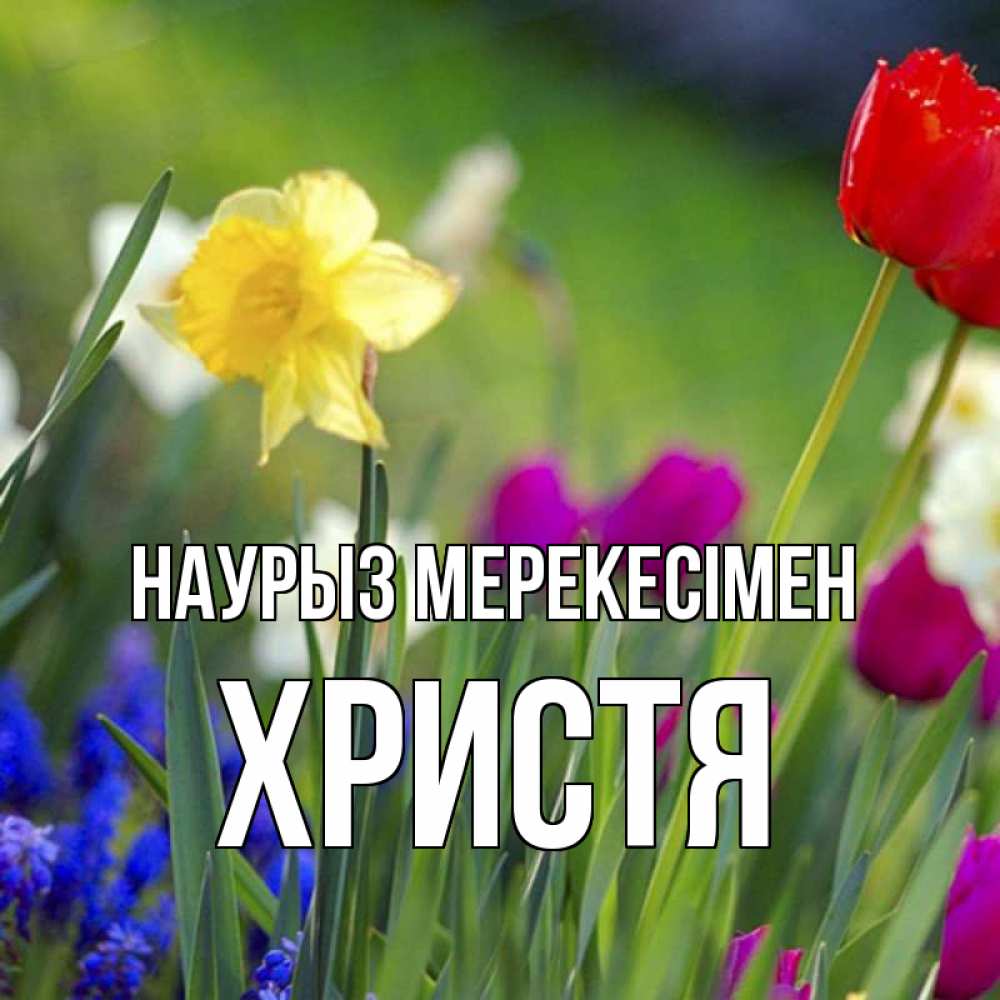 Күн сайын ашық хат с именем, Христя Наурыз мерекесімен праздник весны наурыз 3 Онлайн тегін жүктеп алу тілектері бар керемет карта 