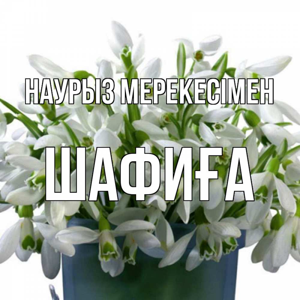 Күн сайын ашық хат с именем, ШАФИҒА Наурыз мерекесімен цветы к наурызу новый год в Казахстане Онлайн тегін жүктеп алу тілектері бар керемет карта 