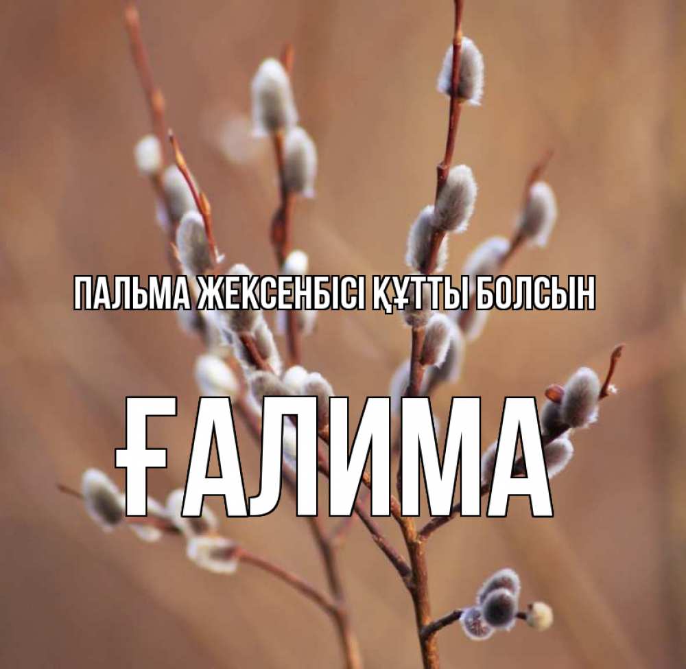 Күн сайын ашық хат с именем, ҒАЛИМА Пальма жексенбісі құтты болсын верба Онлайн тегін жүктеп алу тілектері бар керемет карта 