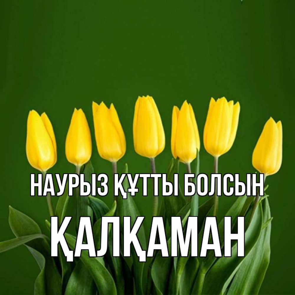 Күн сайын ашық хат с именем, Қалқаман Наурыз құтты болсын желтого цвета 3 Онлайн тегін жүктеп алу тілектері бар керемет карта 