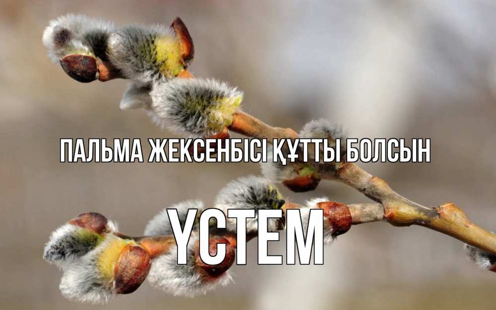 Күн сайын ашық хат с именем, ҮСТЕМ Пальма жексенбісі құтты болсын Верба Онлайн тегін жүктеп алу тілектері бар керемет карта 