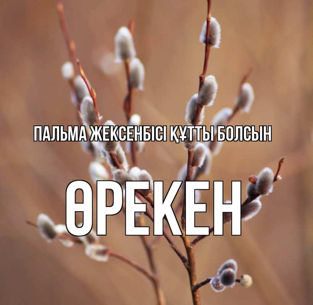 Күн сайын ашық хат с именем, ӨРЕКЕН Пальма жексенбісі құтты болсын верба Онлайн тегін жүктеп алу тілектері бар керемет карта 