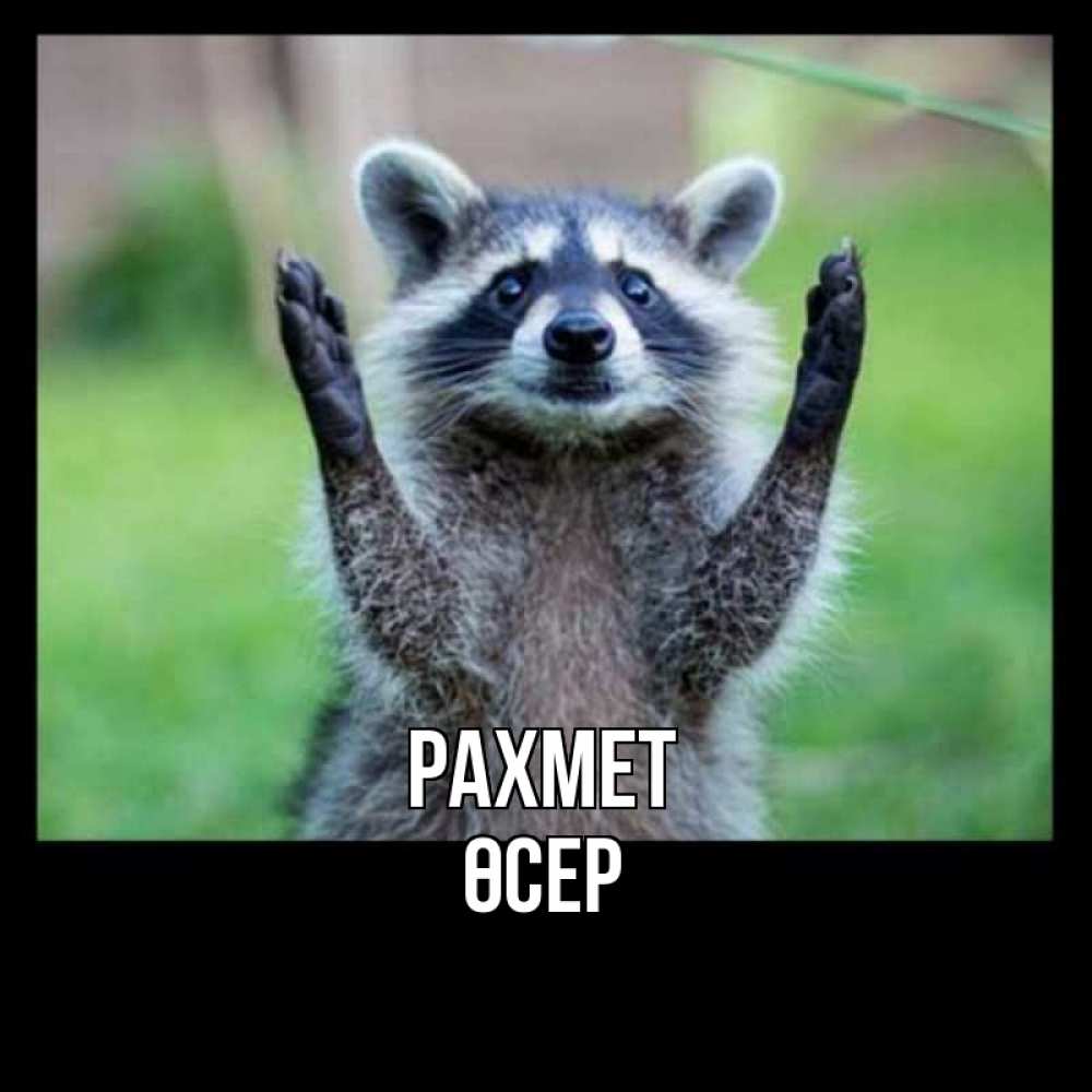Күн сайын ашық хат с именем, ӨСЕР рахмет милые животные Онлайн тегін жүктеп алу тілектері бар керемет карта 