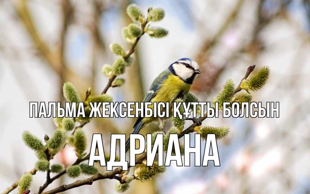 Күн сайын ашық хат с именем, Адриана Пальма жексенбісі құтты болсын верба Онлайн тегін жүктеп алу тілектері бар керемет карта 