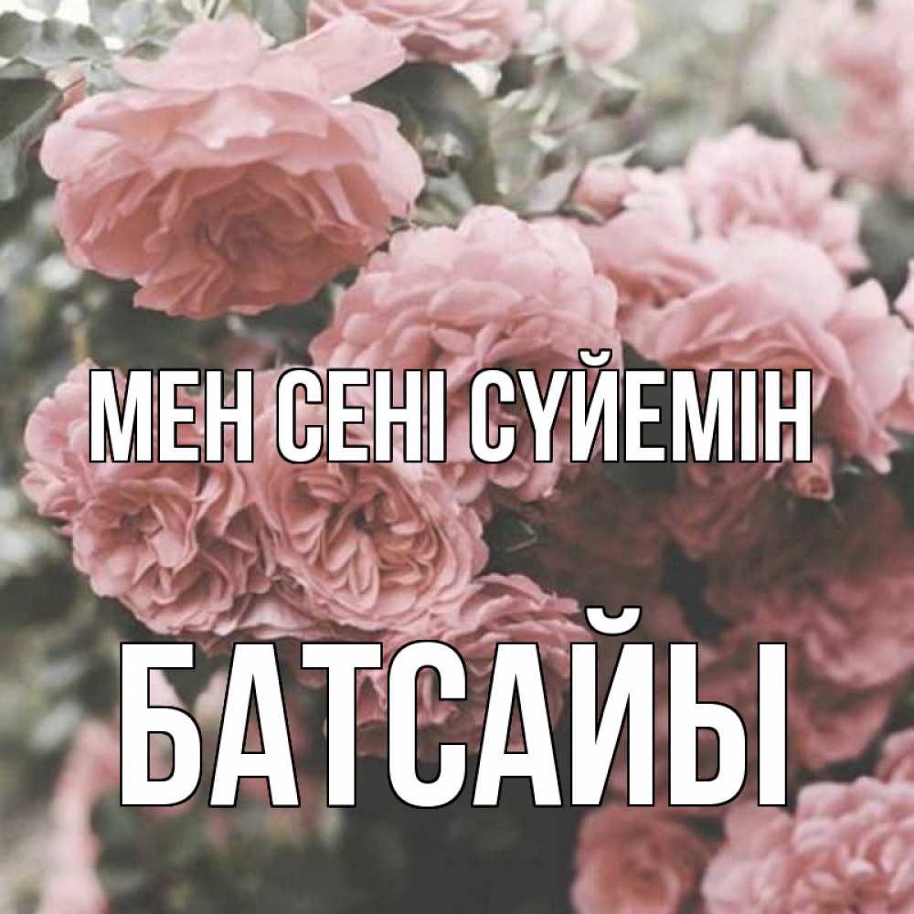 Күн сайын ашық хат с именем, Батсайы Мен сені сүйемін розы 3 Онлайн тегін жүктеп алу тілектері бар керемет карта 