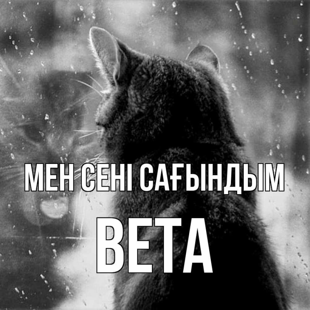 Күн сайын ашық хат с именем, Вета Мен сені сағындым скорее ко мне приходи 1 Онлайн тегін жүктеп алу тілектері бар керемет карта 