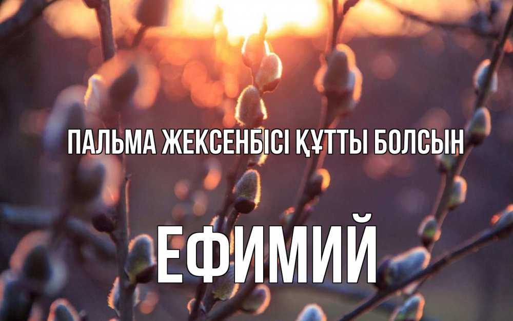 Күн сайын ашық хат с именем, Ефимий Пальма жексенбісі құтты болсын верба Онлайн тегін жүктеп алу тілектері бар керемет карта 