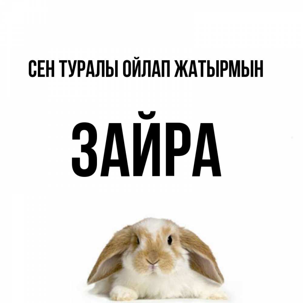 Күн сайын ашық хат с именем, ЗАЙРА Сен туралы ойлап жатырмын подписать своими руками онлайн Онлайн тегін жүктеп алу тілектері бар керемет карта 