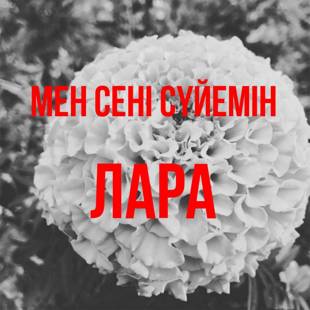 Күн сайын ашық хат с именем, Лара Мен сені сүйемін подпись Онлайн тегін жүктеп алу тілектері бар керемет карта 