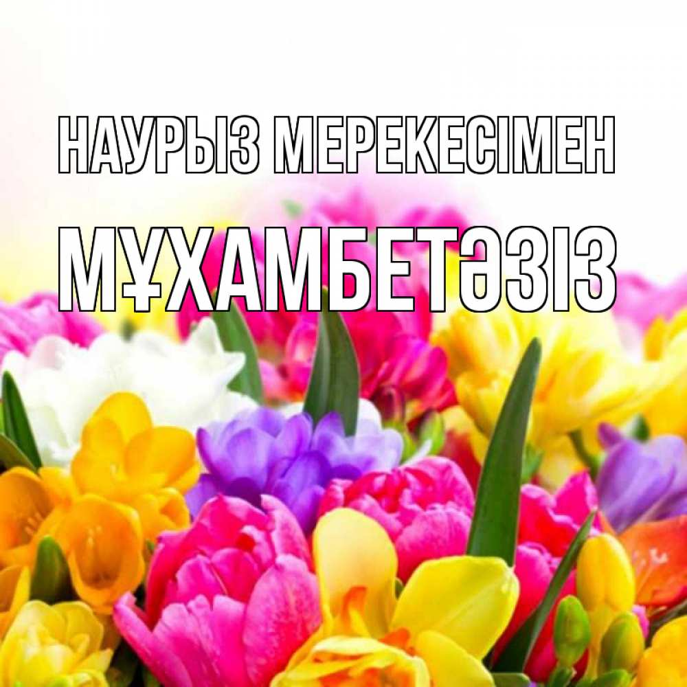 Күн сайын ашық хат с именем, МҰХАМБЕТӘЗІЗ Наурыз мерекесімен тюльпаны Онлайн тегін жүктеп алу тілектері бар керемет карта 